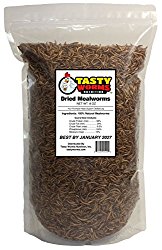 1/2 Lb (8 Oz) Tasty Worms Freeze Dried Mealworms Approx. 8,000ct