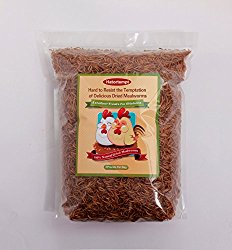 5 Lbs Dried Mealworms for Wild Bird Chicken Fish
