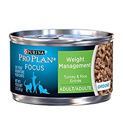Purina Pro Plan Wet Cat Food, Focus, Adult Weight Management Turkey and Rice Entre, 3-Ounce Can, Pack of 24