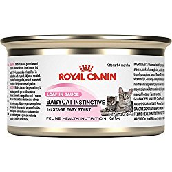 Royal Canin Canned Cat Food,mother and kittens Babycat Formula1st stage loaf in sauce (Pack of 24 3-Ounce Cans)
