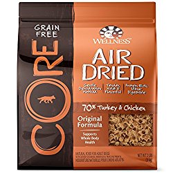 Wellness CORE Air Dried Grain Free Natural Dry Dog Food, Original Turkey & Chicken, 2-Pound Bag