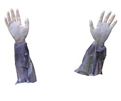 Forum Novelties Zombie Hands & Arms – (2) Zombie Lawn Stakes