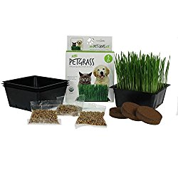 Mini Organic Pet Grass Kit – Grow Wheatgrass for Pets: Dog, Cat, Bird, Rabbit, More – Includes Trays, Soil, Wheat Grass Seeds, Instructions by Wheatgrass Kits (3 Kits)