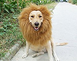 6MILES 1 Pcs Light Brown Adjustable Washable Comfortable Funny Lion Mane Wig with Ears for Dog and Cat Costume Pet Fancy Hair Clothes Dress for Halloween Christmas Easter Festival Party