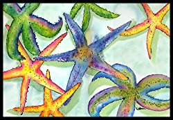 Caroline’s Treasures Starfish Indoor or Outdoor Doormat, 24″ x 36″, Multicolor