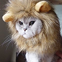 Idepet Funny Dog Cat Lion Mane,Pet Cat Wig with Ears,Cosplay Costume for Small,Medium,Large Kitty,Suitable for Holloween Christmas Party Festival (Dog Lion Mane)