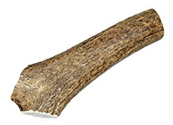 Large, Whole, Single Pack – Grade A Premium Elk Antler Dog Chew for 35 to 65 lb dogs – Naturally shed from wild elk – No Mess, No Odor – Made in the USA