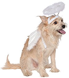 Rubies Costume Company Angel Halo and Wings Pet Costume Accessory Set, Medium to Large