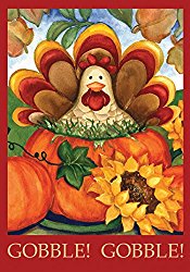 Toland – Autumn Turkey – Decorative Thanksgiving Fall Holiday Pumpkin USA-Produced Garden Flag