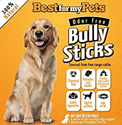 12-inch Odor-Free Bully Sticks USDA-Inspected by Best For My Pets (8 Oz)
