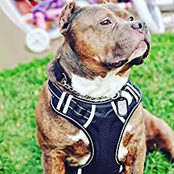Big Dog Harness No Pull Adjustable Pet Reflective Oxford Soft Vest for Large Dogs Easy Control Harness