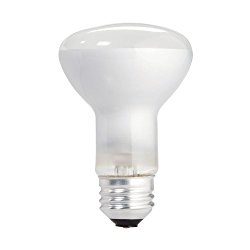Philips 223115 Soft White 45-Watt R20 Indoor Flood Light Bulb, 12-Pack