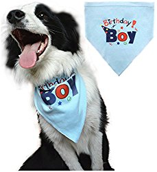 Dog Birthday Bandana Pet Scarf Blue