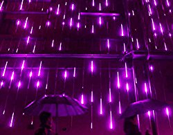 YSIM Meteor Shower Rain Lights,Ultra Bright Romantic Lights for Party, Wedding, Christmas, etc.11.8inch 8 Tubes(Purple)