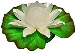 Fortune Products GL-301-ABW Glow Lily Light, 5-1/2″ Width x 1-3/4″ Height