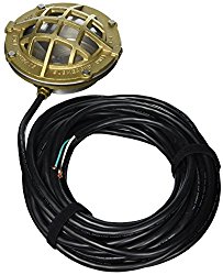 Little Giant 517414 L1C-50 Bronze and SST Underwater Light with 50-Feet Cord