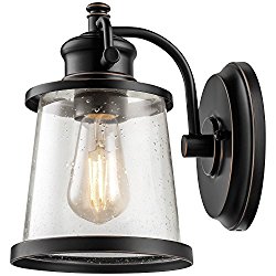 Globe Electric Charlie LED Outdoor Wall Sconce, Oil Rubbed Bronze Finish, Clear Seeded Glass Shade, LED Bulb Included, 44127