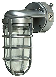 L1707SV One-Light Incandescent Weather Tight Industrial Light