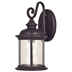Westinghouse 6230600  New Haven One-Light Exterior Wall Lantern  on Steel with Clear Seeded Glass,  Oil Rubbed Bronze Finish