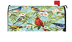 Toland Home Garden Bird Collage Decorative Mailbox Cover