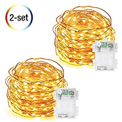 Fairy Lights Battery Operated, DecorNova 9.8 Feet 60 LED Starry Copper Wire String Lights with 3 AA Battery Case & Timer for Christmas Bottle Bedroom Wedding Party Decorations, Warm White (2 Set)