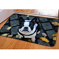 HUGSIDEA Cute Boston Terrier Print Washable Absorbent Doormats Entrance Way Floor Mat Carpet Home Decor