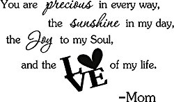You are precious in every way, the sunshine in my day, the joy in my soul, and the love of my life. Mom cute baby nursery inspirational wall art sayings