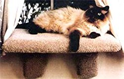 Large Padded Cat Window Perch : Color TAN : Size LARGE PERCH