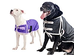 Derby Originals 600D Waterproof Dog Coat Insulated with 1 Year Limited Warranty