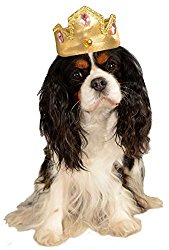 Rubies Costume Company Gold Tiara with Pink Stones Pet Costume Accessory, Small/Medium
