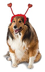Rubie’s St. Patrick’s Day Bopper Dog Costume, Red Heart Bopper – Medium / Large