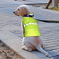 Vizpet Reflective Dog Vest with Lightweight Adjustable Strap & Comfortable Material Ideal To Keep Dogs Safe While Walking & Hunting