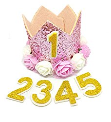PET SHOW Crown Dog Birthday Hat for Girls Reusable Birthday Party Cat kitten Headband with 1-9 Figures Charms Grooming Accessories Pack of 1(Pink)