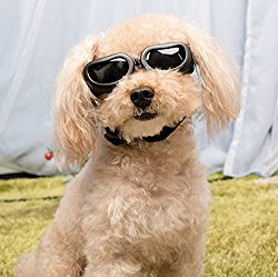 Dog Sunglasses, IN HAND UV Protective Foldable Pet Sunglasses Goggles with Adjustable Strap for Cat or Small Dogs