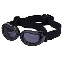 Outdoor Dog Sunglasses Anti-UV Eye Protection Goggles Waterproof Windproof Anti-Fog for Small Pet Puppy Cat (Black)