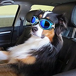 PETLESO Dog Driving Cycling Sunglasses UV Protection Waterproof Large Dog Goggles Blue