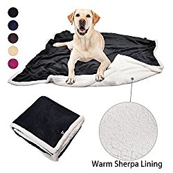 Pawsse Dog Cat Puppy Snuggle Blanket Plush Sherpa Micro Fleece Pet Throws Cushion Mat for Small Animals Large Size 60”x49”