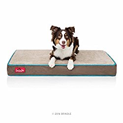 Brindle 4 Inch Solid Memory Foam Orthopedic Dog Bed with Removable Waterproof Velour Cover – Medium Mocha Blue 34 Inch x 22 Inch