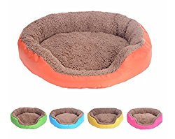 Washable Puppy Pet Dog & Cat Colorful Mattress Bed Mat House for Dog Accessories Breathable Dog House Orange Color (L)