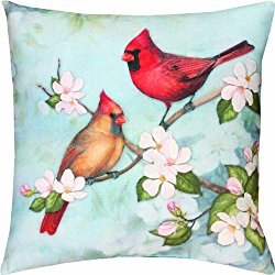 Manual Climaweave Indoor/Outdoor Square Decorative Throw Pillow, 18-Inch, Spring Cardinal