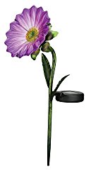 Regal Art & Gift 11636 Mini Daisy Stake Solar Light Garden Decor, Purple