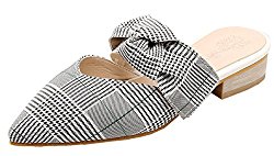 iDuoDuo Women’s Old Style Closed Toe Pointy Mules Slip on Slide Sandals Low Chunky Heels Flats Plus Size