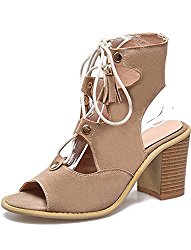 Seoia Women’s Sexy Cut Out Peep Toe Lace up Ankle High Gladiator Sandals with Heels 08213B