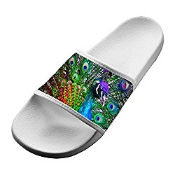 Slippers Peacock Rainbow Tail 3D Printed Casual House Family Shoes Beach Flat Sandal Uinsex Babouche Slip-on Open Toe