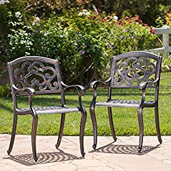 Augusta Outdoor Cast Aluminum Dining Chairs (Set of 2)