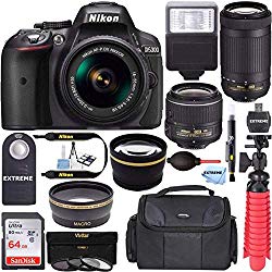 Nikon D5300 24.2 MP DSLR Camera + AF-P DX 18-55mm & 70-300mm NIKKOR Zoom Lens Kit + 64GB Memory + Photo Bag + Wide Angle Lens + 2X Telephoto Lens + Flash + Remote Bundle