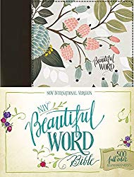 NIV, Beautiful Word Bible, Cloth over Board, Multi-color Floral: 500 Full-Color Illustrated Verses