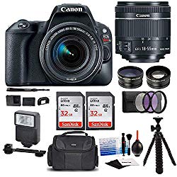 Canon EOS Rebel SL2 Digital Camera with Canon EF-S 18-55mm STM Lens : 24 Megapixel 1080p HD Video DSLR Bundle with 64GB (2X 32GB SD Cards) Mini Tripod Filter Kit Flash Bag & Charger Professional Kit