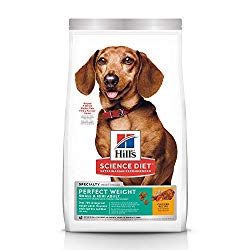Hill’s Science Diet Dry Dog Food, Adult, Perfect Weight for Healthy Weight & Weight Management, Small & Mini, Chicken Recipe, 15 lb Bag