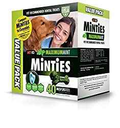 Vetiq Minties Dog Dental Bone Treats, Dental Treats For Dogs, Medium/Large, 32Oz